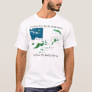 Camiseta Conseguí volar al St. en alguna parte