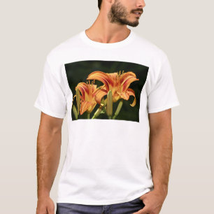 Camiseta Consideremos Los Lírios Del Campo