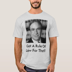 Camiseta ¿Consiguió un Estado de Derecho para eso?