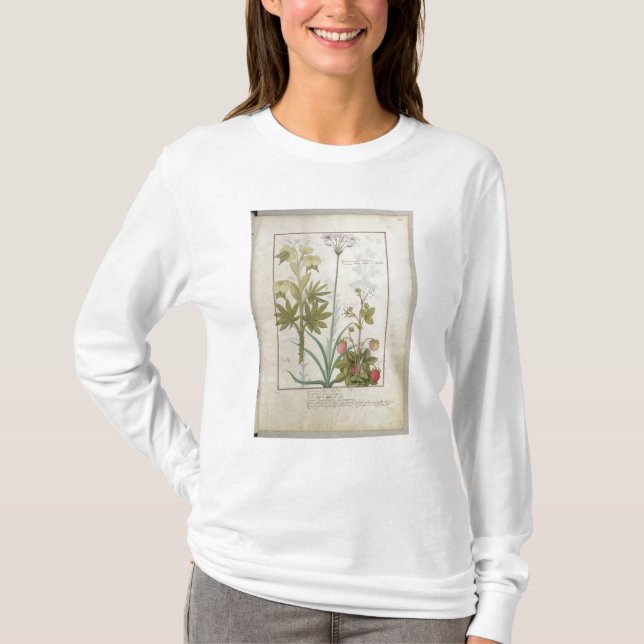 Camiseta Consiligo, Burreed y fresa (Anverso)