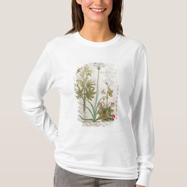Camiseta Consiligo, Burreed y fresa (Anverso)