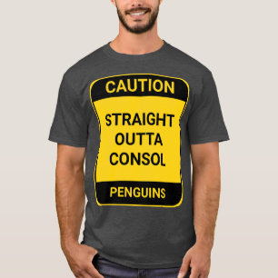 CAMISETA CONSOLA EXTRAORDINARIA 1
