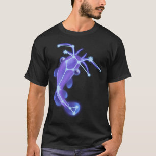 Camiseta Constelación de bagre