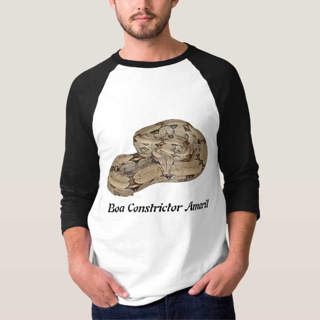 Camiseta Constrictor de boa Amaril 3/4 raglán de la manga (Anverso)