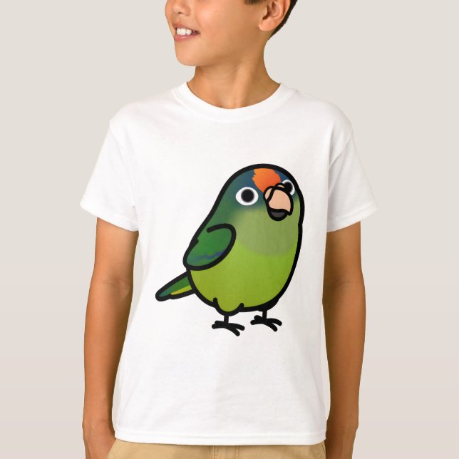 Camiseta Conure frontada de naranja (Anverso)