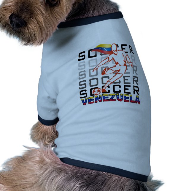 Camiseta Copa América Argentina 2011 (Atrás)