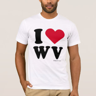 Camiseta copia del blovvWV