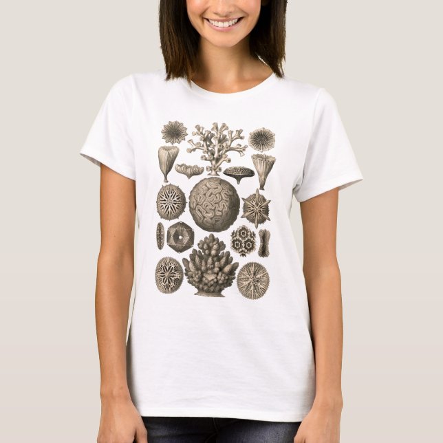 Camiseta Coral (Anverso)