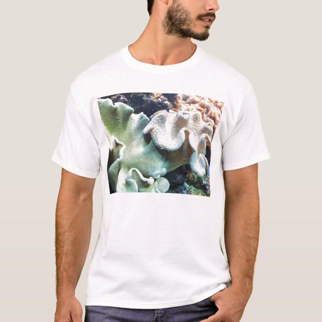 Camiseta Coral de cuero toadstoide (Anverso)