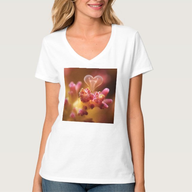 Camiseta Corales enamorados (Anverso)