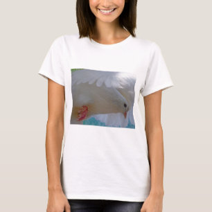 Camiseta Corazón de Paloma Baile Paz Amor Fiesta Destino Be