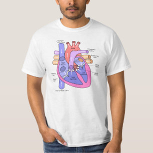 Camiseta Corazón humano