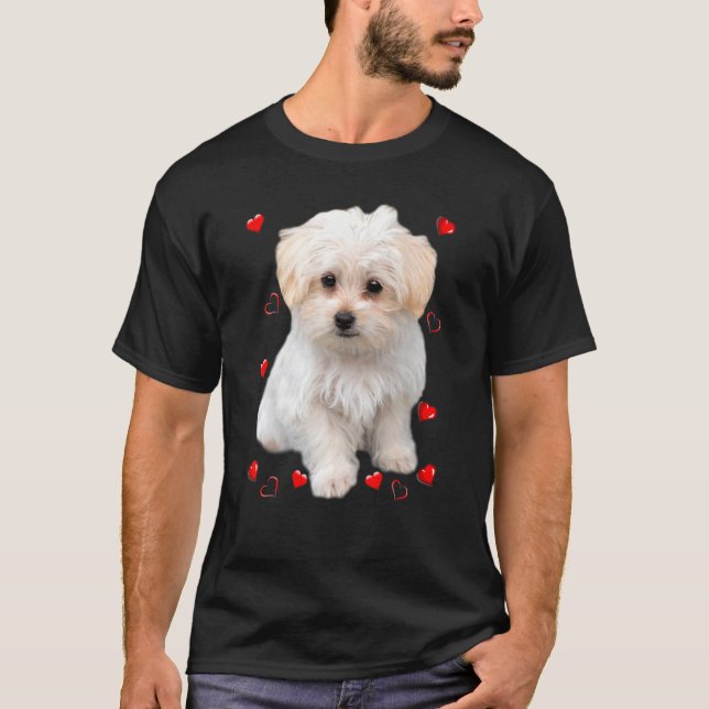 Camiseta Corazones de Cachorro Maltés (Anverso)