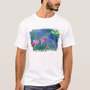 Camiseta Corazones sangrantes rosados en jardín. Créditos c