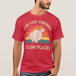 Camiseta Corgi Mom He Conseguido Amigos En Lugares Bajos Pe