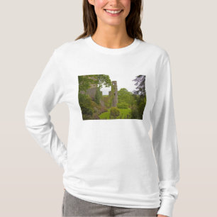 Camiseta Cork, Irlanda. El infame Castillo Blarney 2