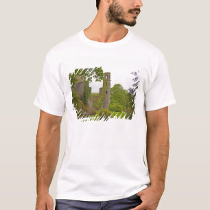 Camiseta Cork, Irlanda. El infame Castillo de Blarney 2