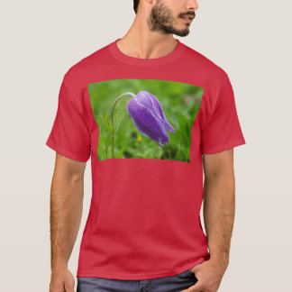 Camiseta Coronaria morada anémona en crecimiento natural
