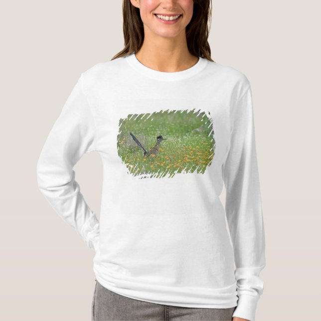 Camiseta Correcaminos Grande, Geococcyx (Anverso)