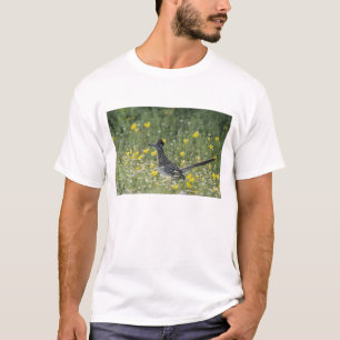 Camiseta Correcaminos Grande, Geococcyx californianus,