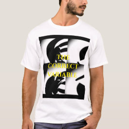 CAMISETA CORRECTO
