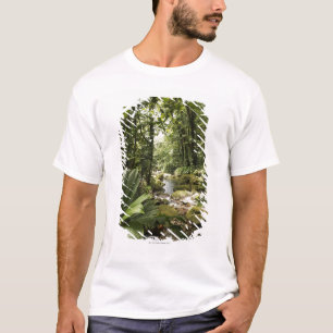 Camiseta corriente en la selva tropical, Dominica