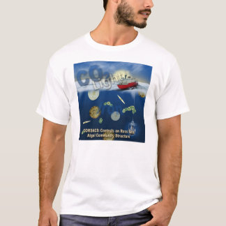 Camiseta corsacs3