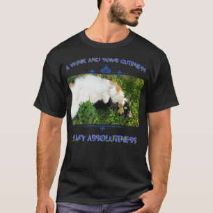 Camiseta Corta Calico Cat Fotografía gráfica Textos Hermoso