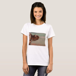 Camiseta corta del sl, foto para UNA BUENA