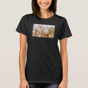 Camiseta Cosas de gato lindas para chicas mujeres hombres n