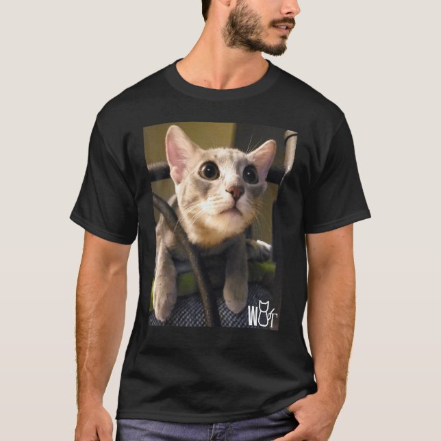 Camiseta Cosas de gato para chicas gatos hombres adultos 1 (Anverso)