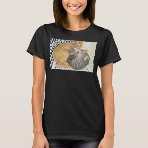 Camiseta Cosas para gatos para chicas gatos mujeres hombres
