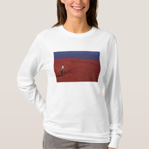 Camiseta Cosecha de arándanos, Middleboro, MA, EE. UU.