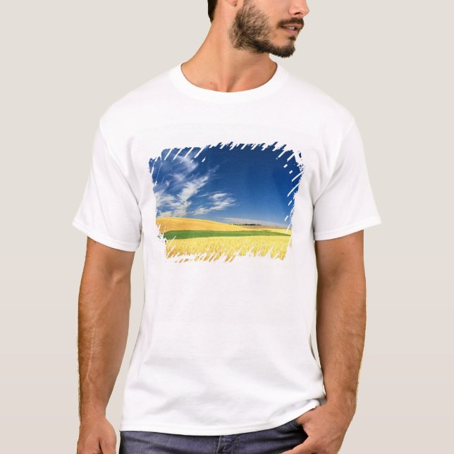 Camiseta Cosecha de trigo en el Palouse, en el este (Anverso)