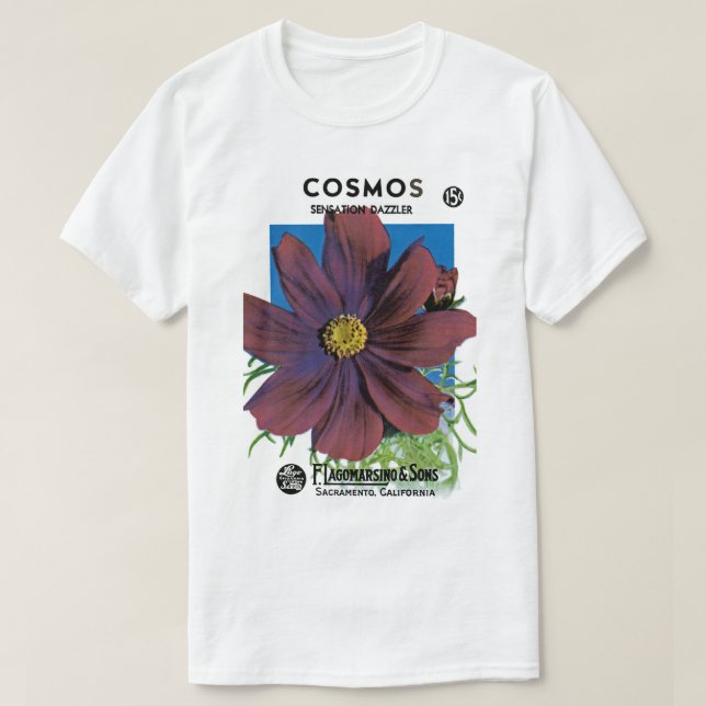 Camiseta Cosmos (Diseño del anverso)