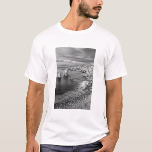 Camiseta Costa de la playa en B&W, California