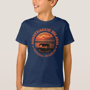 Camiseta Costa del nacional de la isla de Assateague