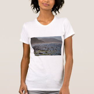 Camiseta Costa hermosa de Oregon
