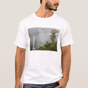 Camiseta Costa Rica, bosque nublado en las montañas cerca 