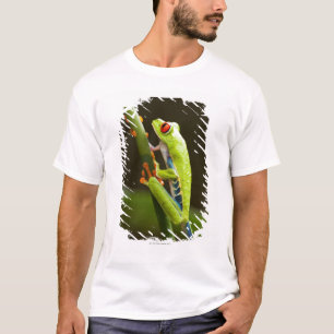 Camiseta Costa Rica, Monteverde, rana arbórea