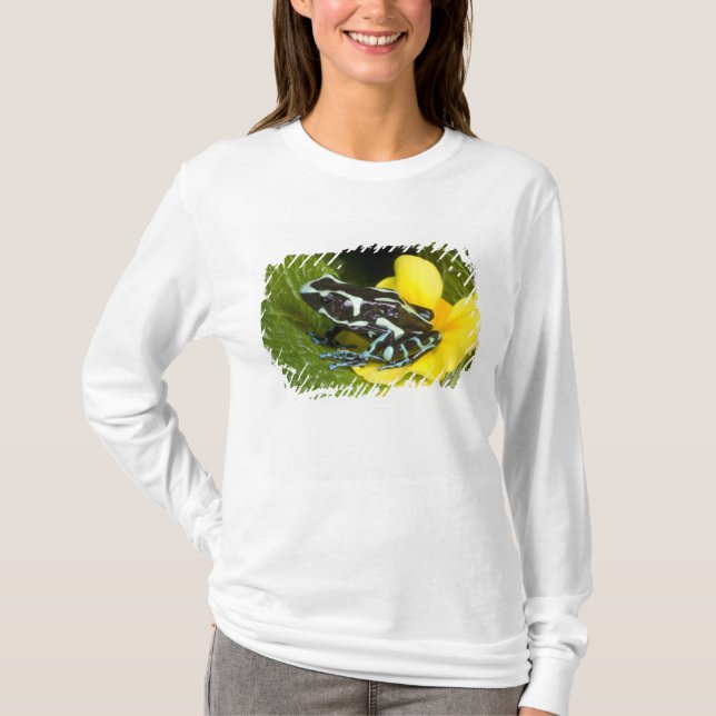 Camiseta Costa Rica, Península de Osa (Anverso)