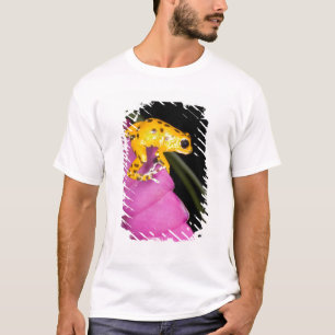 Camiseta Costa Rica. Primer plano de rana venenosa