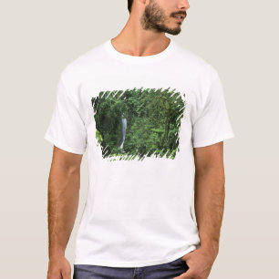 Camiseta Costa Rica, zona del volcán Arenal, puentes colgan