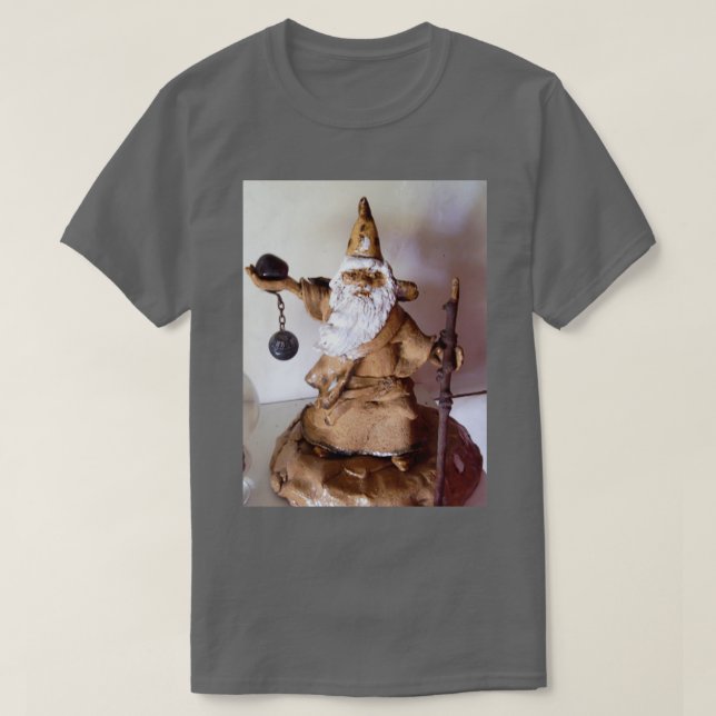 Camiseta cotejo del asistente de cotejo (Diseño del anverso)