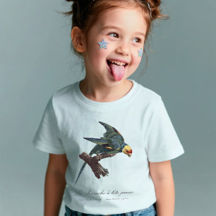Camiseta Cotorra de Carolina, Conuropsis carolinensis