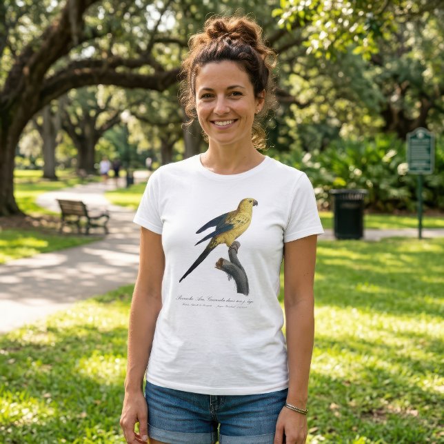 Camiseta Cotorra del Sol o Aratinga solstitialis (Guarouba dans sons jeune age / Sun parakeet. Women Basic White T-Shirt)