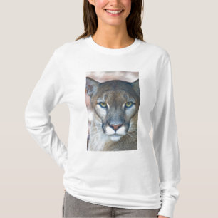 Camiseta Cougar, león de montaña, pantera de Florida, Puma