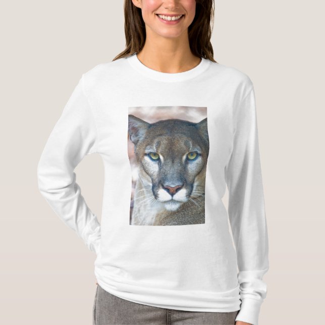 Camiseta Cougar, león de montaña, pantera de Florida, Puma (Anverso)