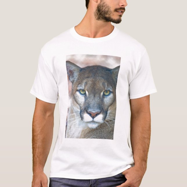 Camiseta Cougar, león de montaña, pantera de Florida, Puma (Anverso)