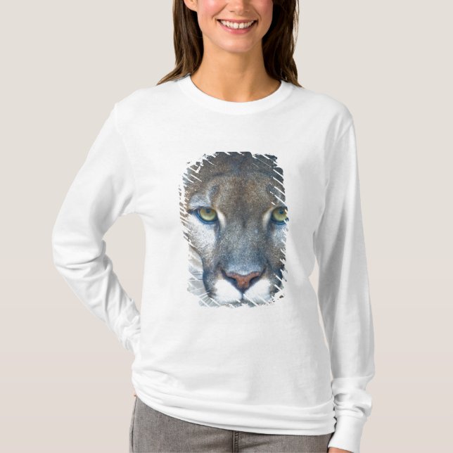 Camiseta Cougar, león de montaña, pantera de Florida, Puma (Anverso)